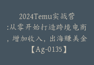 2024Temu实战营:从零开始打造跨境电商，增加收入，出海赚美金【Ag-0135】-副业圈