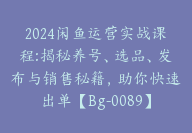 2024闲鱼运营实战课程:揭秘养号、选品、发布与销售秘籍，助你快速出单【Bg-0089】-副业圈