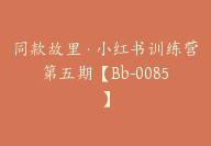 同款故里·小红书训练营第五期【Bb-0085】-副业圈