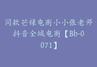 同款芒禄电商小小张老师抖音全域电商【Bb-0071】-副业圈