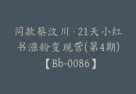 同款蔡汶川·21天小红书涨粉变现营(第4期)【Bb-0086】-副业圈